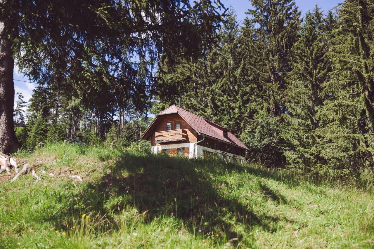 Moosbacher-Huette Aichberg Exterior foto